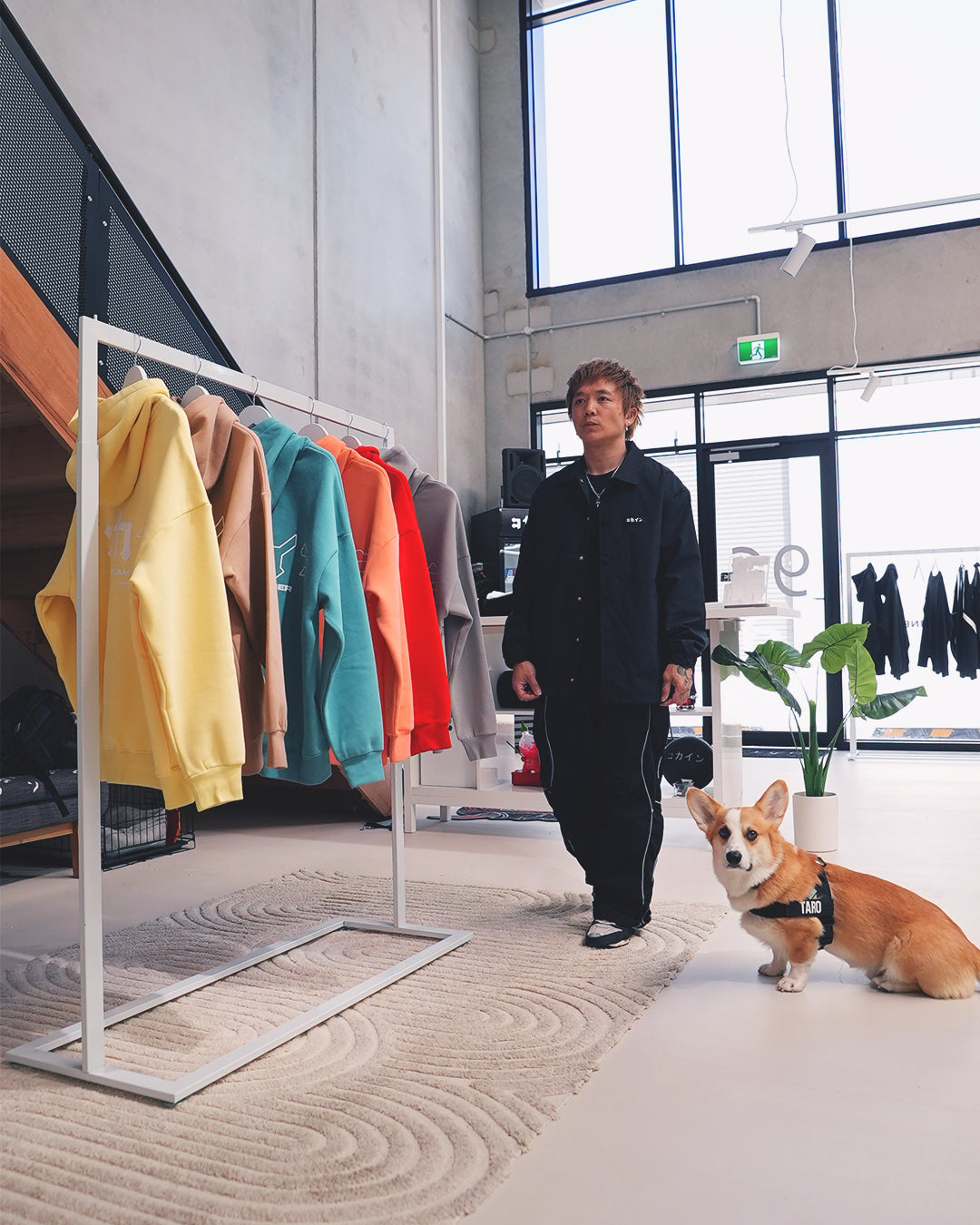 Nylon Coach Jacket ///