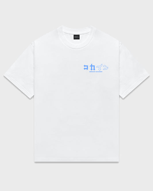 "Dream Chaser" T Shirt // Blue / White