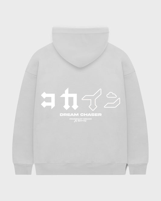 "Dream Chaser" Zip Up Hoodie // NARDO GREY